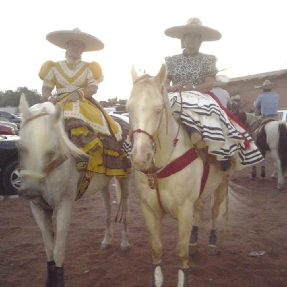 Meet your Posher, Yvonne